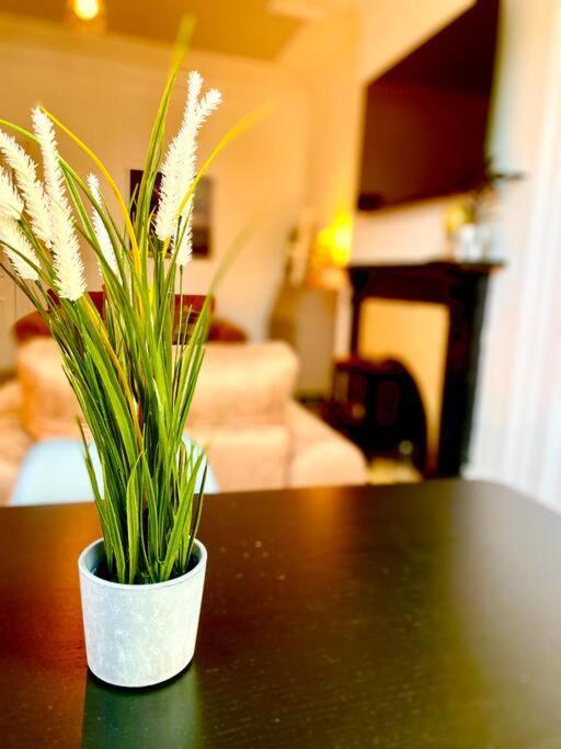 פאיסליי Anchored Homely Apartment In Historic Centre מראה חיצוני תמונה